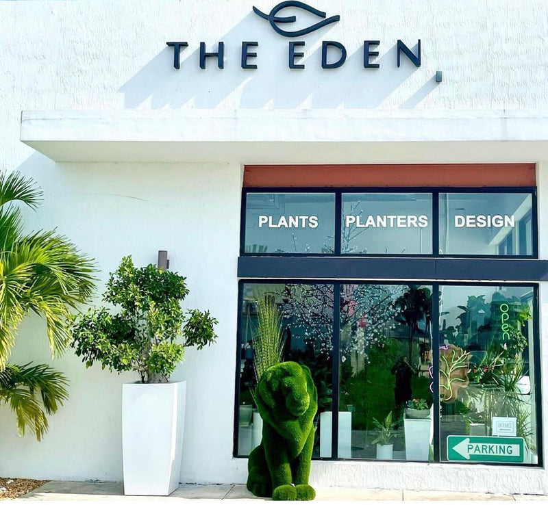The Eden Inn ALF - Adult Day Care in Fort Lauderdale, FL photo 5